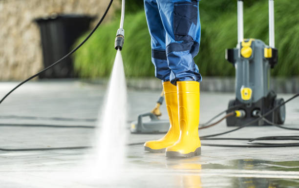 Best Affordable Pressure Washing  in Cheat Lake, WV