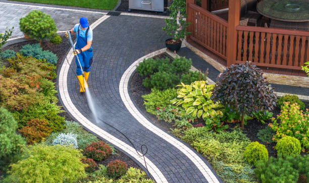 Best Power Washing Near Me  in Cheat Lake, WV