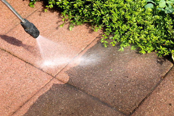 Best Pressure Washing Services for Businesses  in Cheat Lake, WV